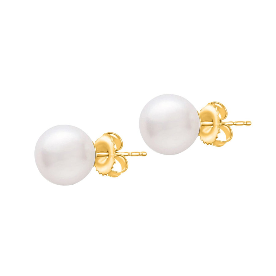 14K White or Yellow Gold Freshwater Pearl Stud Earrings