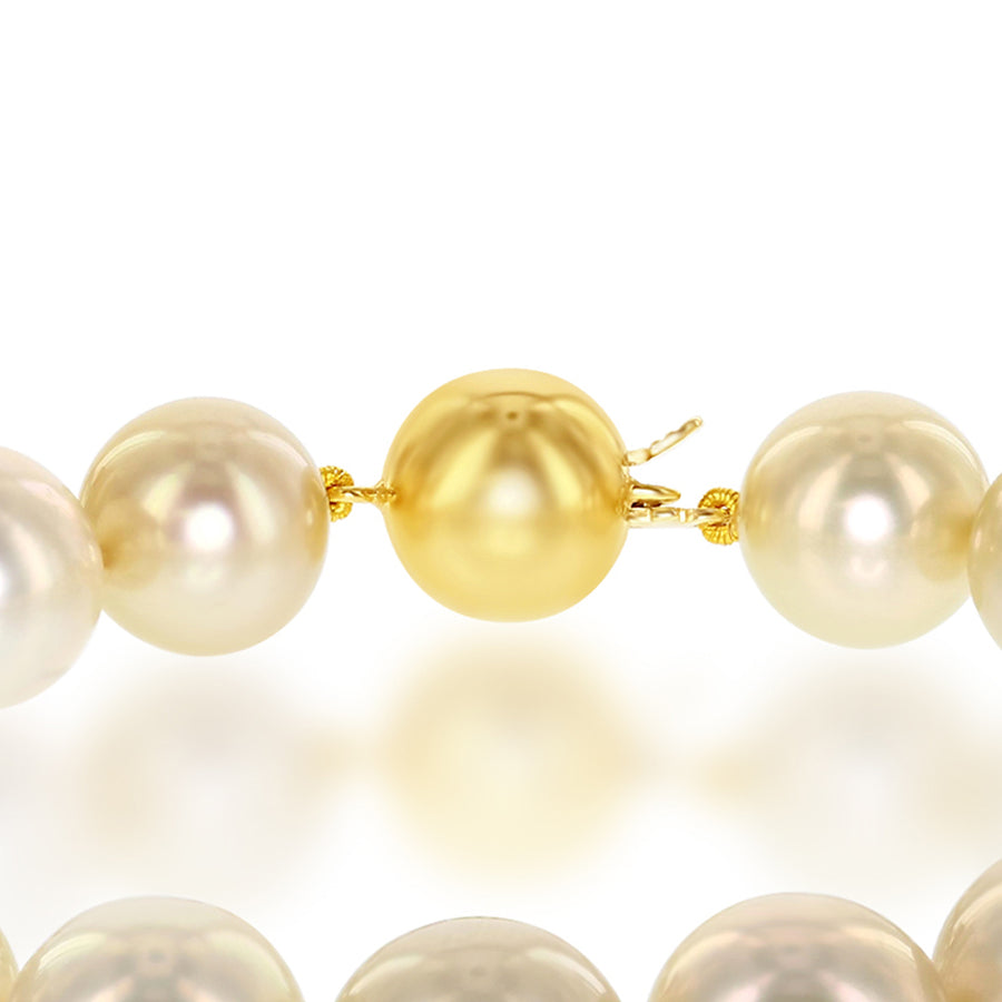 14K Yellow Gold South Sea Gold Pearl Bracelet - 7.5 in