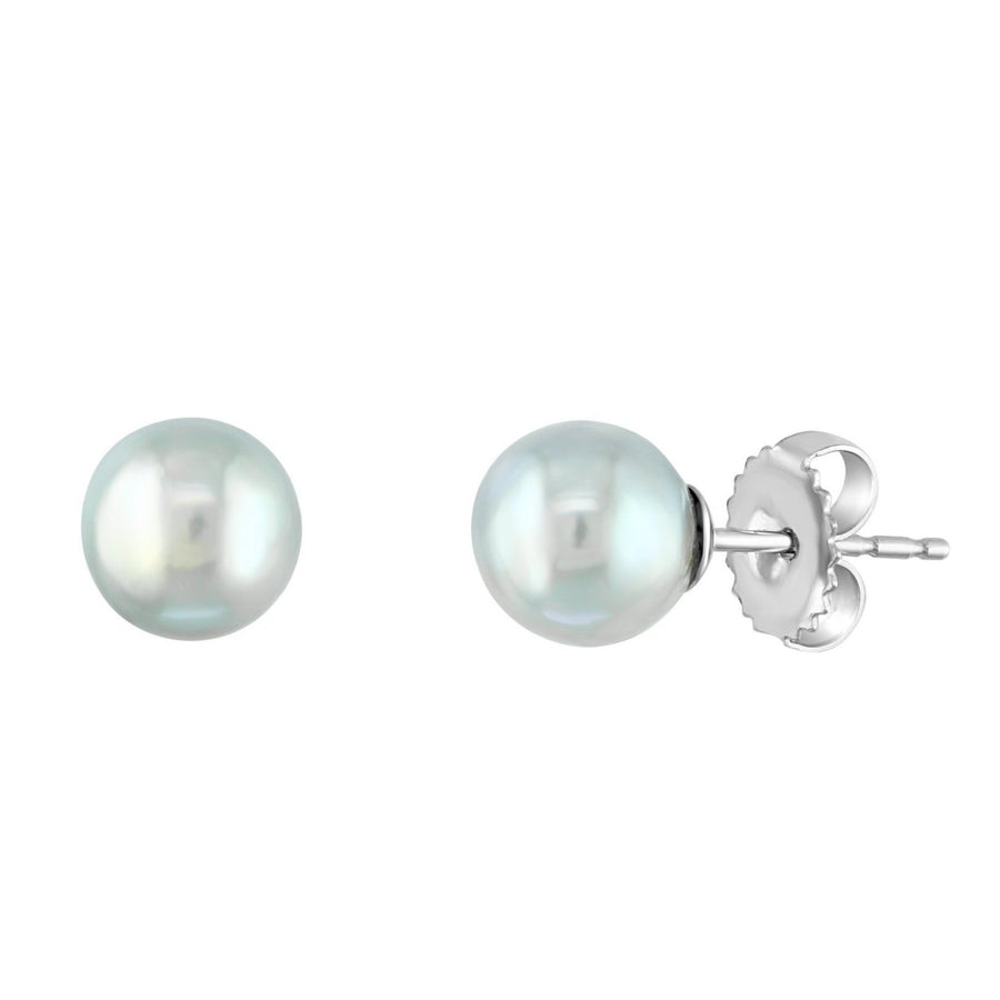 14K White or Yellow Gold Blue Akoya Pearl Studs