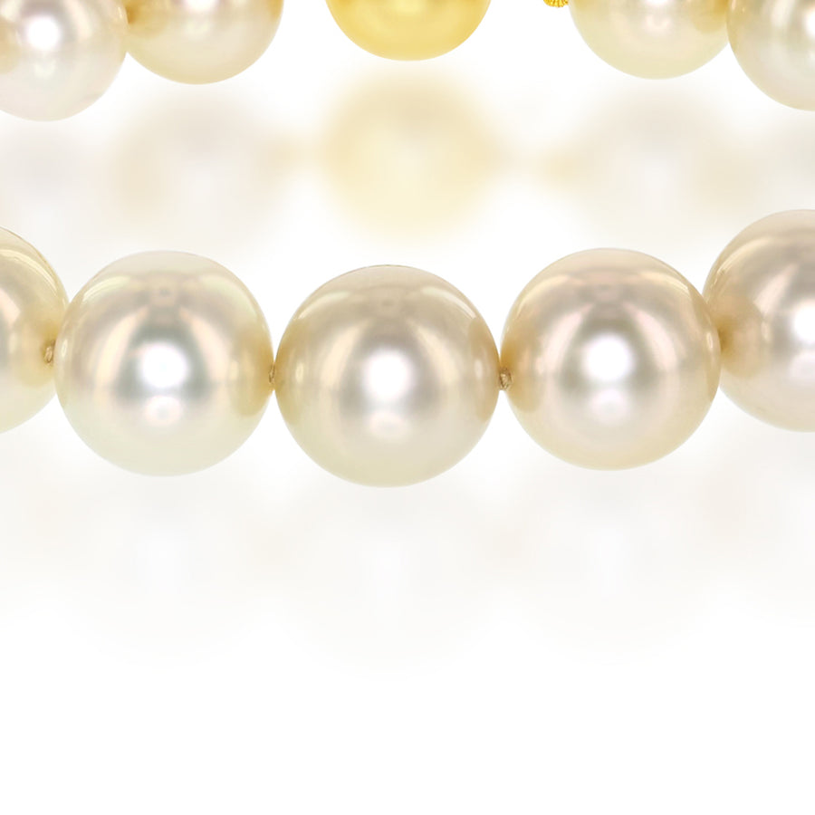 18K Yellow Gold South Sea Gold Pearl Bracelet - 7.5 in