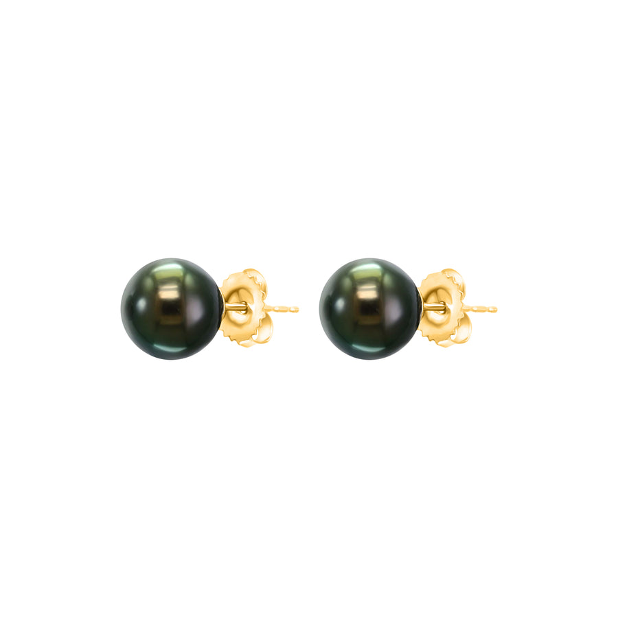 14K White or Yellow Gold Tahitian Pearl Studs